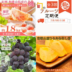 [7・8・10月 全3回]紀州和歌山産旬のフルーツセット(桃・ピオーネ・ひらたねなし柿)定期便 [魚鶴商店][UT67][Z91136-tkb371]