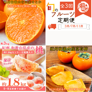 [3・7・11月 全3回]紀州和歌山産旬のフルーツセット(せとか・桃・富有柿) 定期便 [魚鶴商店][UT72][Z91141-tkb392]