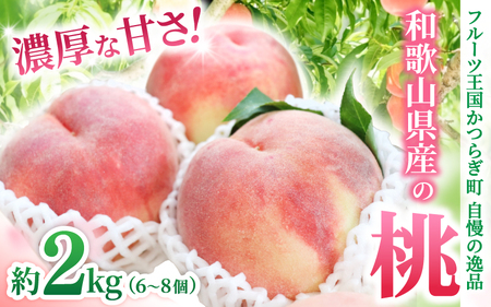 和歌山県産の桃 約2kg(6~8個)[2026年7月上旬〜8月上旬発送] [Ei1][BJ001-eiw012]