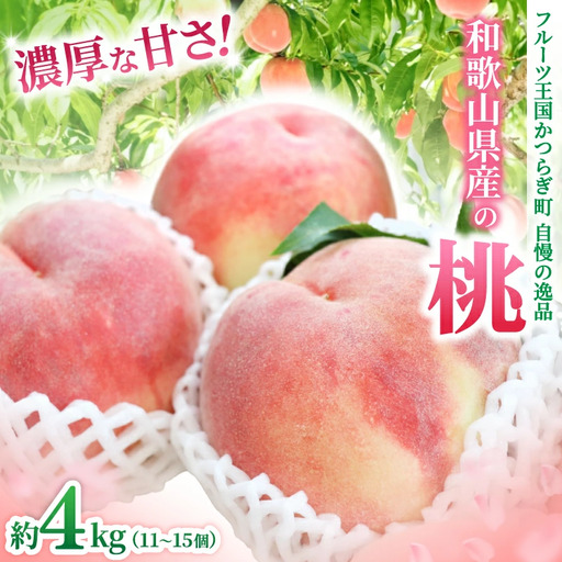 桃 和歌山県産の桃 約4kg（11~15個）【2026年7月上旬～8月上旬発送】 [Ei2]【BJ002-eiw013】
