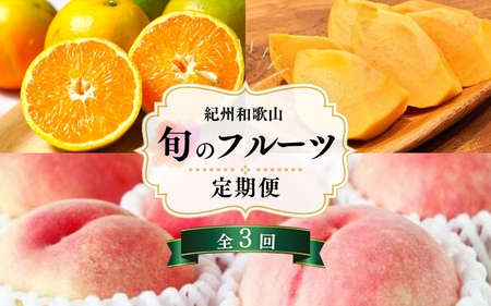 【7・8・10月 全3回】紀州和歌山産旬のフルーツセット（バレンシアオレンジ・桃・ひらたねなし柿）【UT79】【Z91142-tkb】
