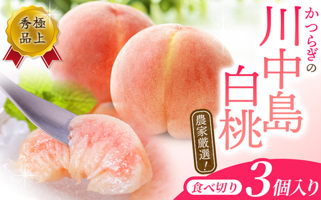 [秀品]川中島白桃 食べきりやすい3個入り [2025年7月末頃から順次発送]こだわり 農家厳選 先行予約 モモ [KG16][BK016-kgr012]