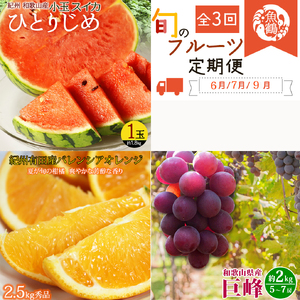 【6・7・9月 全3回】紀州和歌山産旬のフルーツセット（スイカ・バレンシアオレンジ・巨峰）【UT94】【Z91151-tkb396】