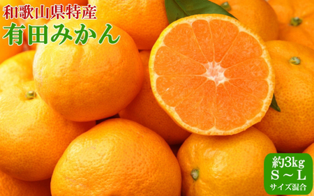 [秀品]和歌山有田みかん約3kg(S〜Lサイズ混合)[2025年11月中旬〜2026年1月下旬頃発送予定][TM96][TM92243-tec]