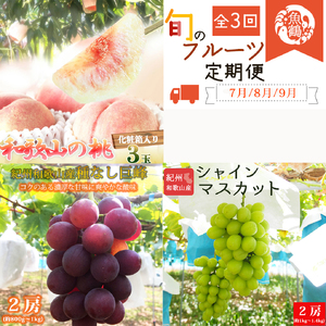 【7・8・9月 全3回 定期便 】紀州和歌山産旬のフルーツセット（桃・種なし巨峰・シャインマスカット）【UT124】【Z91164-tkb】