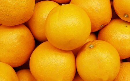 [訳あり] 森本農園の手選別 ネーブルオレンジ 約2kg 和歌山県産 サイズ混合 [北海道・沖縄・離島配送不可][2026年1月上旬〜2月中旬頃に順次発送][RN18][BV90018-mrmt018]