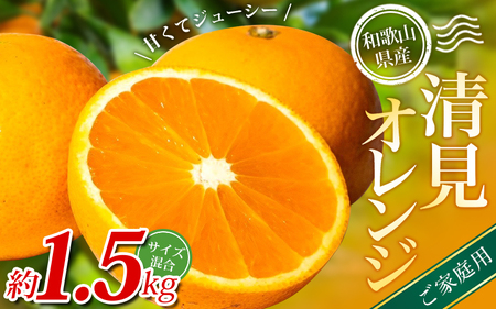 [家庭用] 森本農園の手選別 清見オレンジ 約1.5kg 和歌山県産 サイズ混合 [北海道・沖縄・離島配送不可][2026年2月上旬〜5月中旬頃に順次発送][RN21][BV90021-mrmt021A]