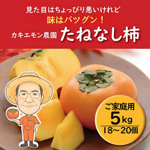 [訳あり・ご家庭用]たねなし柿 約5kg 18 〜 20個 カキエモン農園[2025年9月下旬〜10月末頃順次発送]/ 柿 たねなし カキ 訳あり ご家庭用 5kg 和歌山県 かつらぎ町 産地直送 農家直送[BX003-kkem003]