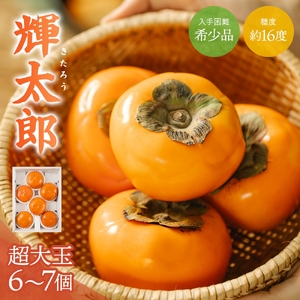 柿 希少[輝太郎]大玉6個〜7個 コクのある甘さ!こだわり農家厳選[2026年9月末〜10月末頃に順次発送予定][KG24][BK024-kgr018]