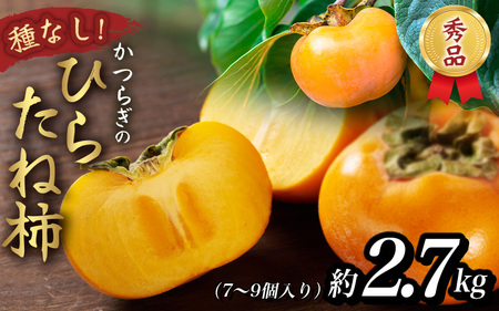 柿 甘〜いひらたね柿!秀品 7個〜9個 こだわり農家厳選[2025年10月下旬頃から11月下旬頃順次発送][KG26][BK026-kgr028]