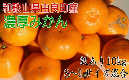 [訳あり・ご家庭用]和歌山由良町産のみかん約10kg(サイズ混合) [2025年11月下旬〜2025年12月下旬頃に発送予定(お届け日指定不可)] [TM-tec981]