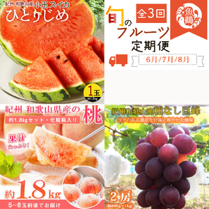 [全3回]紀州和歌山産旬のフルーツ定期便 (スイカ・桃・巨峰) / すいか スイカ もも 桃 白桃 巨峰 ぶどう 果物 くだもの フルーツ フルーツ定期便 和歌山[Z-tkb420]