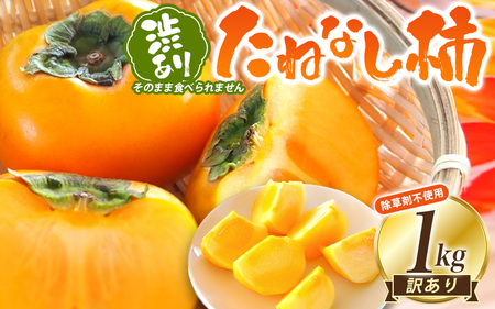 [訳あり・ご家庭用]たねなし柿「渋あり」訳あり 約1kg[9月下旬〜11月上旬頃順次発送][CD-wann001]