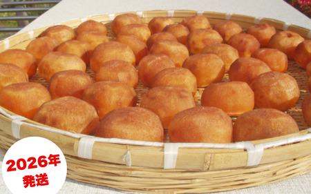 ` _ÂႤIƂĂÂȂ^ a`˖ ۊ`p T} 2.5`3kg (9`18)y2026N10{`11{돇zyG-art041z