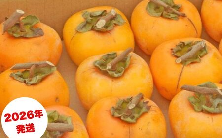 ` _ÂႤIƂĂÂȂ^݂邵`p ˖a` T̓NbvtRt 2.5`3kg (9`18)y2026N10{`11{돇zyG-art040z