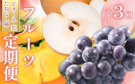 受付終了まで残り僅か![全3回 ]かつらぎ町産 フルーツ定期便(梨・ピオーネ・たねなし柿)フルーツ王国よりお届け♪ / なし ピオーネ ぶどう 種無し たねなし 柿 果物 定期便 セット 和歌山 旬 甘い 先行予約 2025[A-frks903]