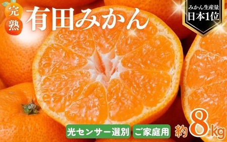 [ご家庭用]農家直送 こだわりの完熟有田みかん 約8kg+250g(傷み補償分) [11月発送][CE-nuk100-11]
