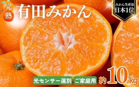 [ご家庭用] 農家直送 こだわりの 完熟 有田みかん 約10kg+250g(傷み補償分) [11月発送]有機質肥料100% 有田みかん みかん ミカン 蜜柑 柑橘 果物 フルーツ 甘い 温州みかん 先行予約[CE-nuk101-11]