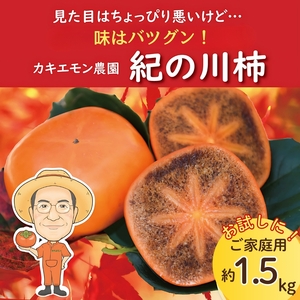 お試しに![ご家庭用]紀の川柿 約1.5kg カキエモン農園 [2025年10月中旬〜11月中旬頃順次発送]/ 和歌山県 かつらぎ町 果物 くだもの フルーツ 柿 かき 和歌山 人気 送料無料[BX-kkem008]