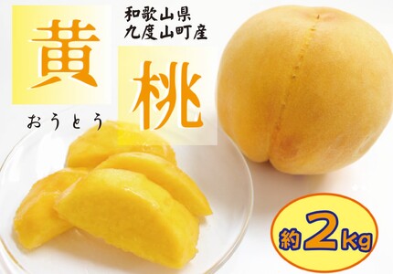 a̎R̉(M) 2kg yZz s\y2025N9{`{z/   t[c ʕ 9 Â W[V[  a̎RyA-frks175z
