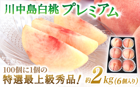 桃 白桃 [2026年発送分先行予約]数量限定![モモ]川中島白桃 約2kg 6個入 100個に1の特選最上級秀品! こだわり農家厳選![2026年7月末から8月末順次発送]/ 和歌山県 かつらぎ町 もも 桃 高級 贅沢 特選[BK-kgr036]