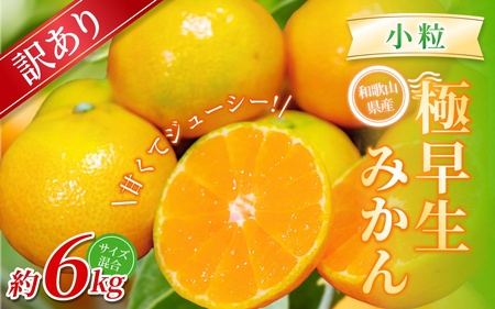 みかん  極早生小粒みかん 約6kg 【訳あり】【BV-mrmt057】