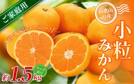 小粒みかん 約1.5kg[家庭用] 森本農園の手選別 和歌山県産 [BV-mrmt060]
