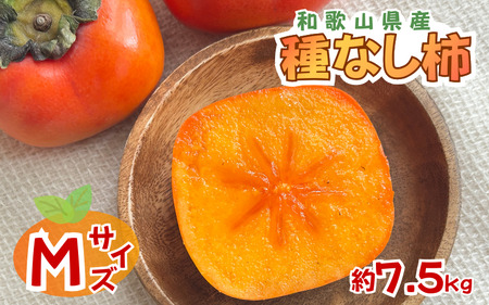 採れたてタネなし柿“Mサイズ" 約7.5kg[2026年10月中旬〜10月下旬頃発送予定][G-art042]