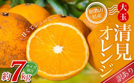 大玉清見オレンジ [訳あり] 森本農園の手選別 約7kg 和歌山県産 サイズ混合 [北海道・沖縄・離島配送不可][2026年2月上旬〜5月中旬頃に順次発送][BV-mrmt077]