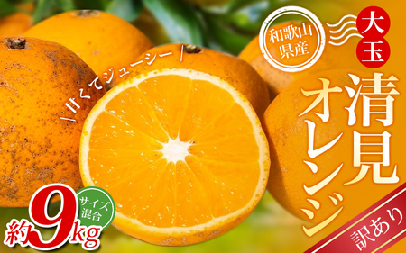 ��ʐ����I�����W �y�󂠂�z �X�{�_���̎�I�� ��9kg �a�̎R���Y �T�C�Y���� �y�k�C���E����E�����z���s�z�y2026�N2����{�`5�����{���ɏ��������z�yBV-mrmt078�z