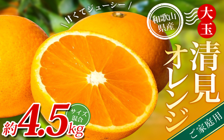 ��ʐ����I�����W �y�ƒ�p�z �X�{�_���̎�I�� ��4.5kg �a�̎R���Y �T�C�Y���� �y�k�C���E����E�����z���s�z�y2026�N2����{�`5�����{���ɏ��������z�yBV-mrmt074�z