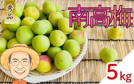 �썂�~ �~ ��5kg (�{�ۏ�100g)�y�G�i�z 2L�ȏ� �J�L�G�����_�� �yBX-kkem010�z