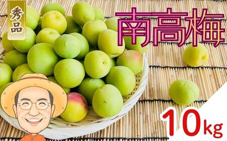 �썂�~ �~ ��10kg (�{�ۏ�100g)�y�G�i�z 2L�ȏ� �J�L�G�����_�� �yBX-kkem011�z