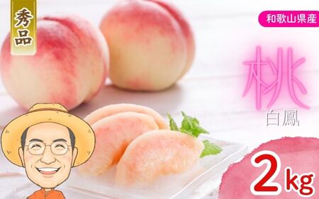 桃 白鳳 約2kg 箱 (8〜9個) [秀品] カキエモン農園[BX-kkem027]