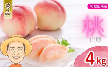 �� ���P ��4kg �� (13�`15��) �y�G�i�z �J�L�G�����_���yBX-kkem028�z