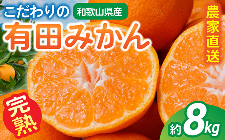こだわりの完熟有田みかん 約8kg+250g(傷み補償分)(傷み補償分) [ご家庭用]農家直送[1月発送][CE-nuk100-01]