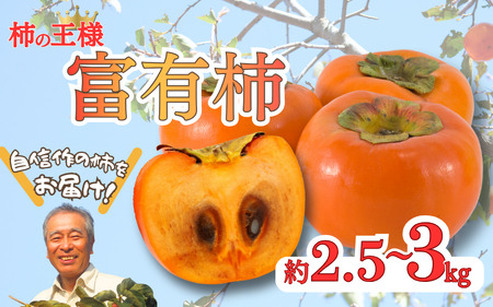先行予約 富有柿 約2.5〜3kg 秀優混合 サイズ混合 [2026年11月中旬〜12月下旬頃発送予定]〜こんな美味しいの「食べるのはじめてや!」感動をお届けします。〜 / 柿 富有柿 和歌山県 かつらぎ町 秋の味覚 フルーツ 果物 甘い 美味しい 旬[G-art044]