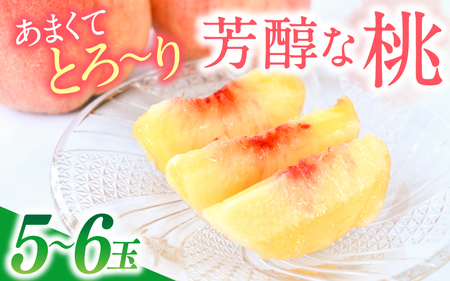 もも あまくてとろ〜り芳醇な桃[5〜6玉][先行予約][2026年6月下旬〜8月上旬順次発送] かつらぎ町 [aozf001]
