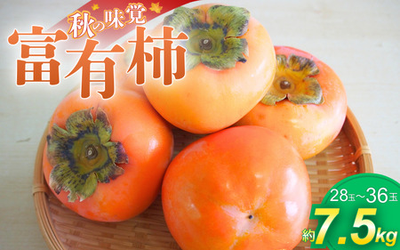 柿 富有柿 かつらぎの陽だまりが育てた富有柿約7.5kg[2026年11月上旬〜12月上旬頃発送予定][A-frks183]