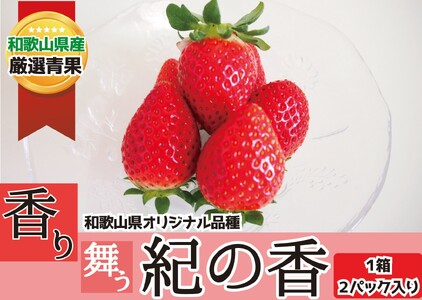 和歌山の豊かな自然が育んだいちご。香りの逸品「紀の香」2パック[2026年1月中旬〜2026年3月中旬ごろお届け予定]