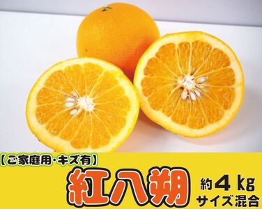 [家庭用]八朔 紅八朔 甘酸っぱさ、はじける。かつらぎの紅八朔 約4kg[2026年2月中旬〜2026年2月下旬お届け予定][A-frks189]