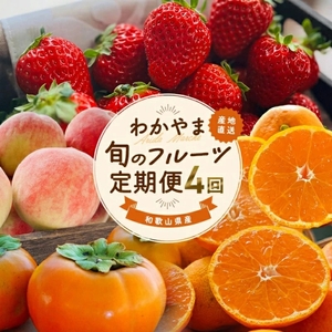 わかやま 旬の フルーツ 定期便[S] 全4回 / 有田みかん まりひめ いちご 桃 柿 ※北海道・沖縄・離島への配送不可[AA-ard-tkb910]