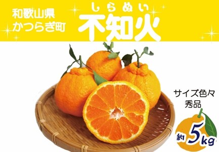 愛情いっぱい不知火サイズ色々約5kg[秀品][2026年2月中旬〜2026年4月中旬発送][A-frks191]