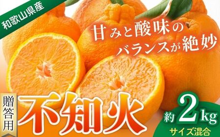 みかん 不知火 約2kg [贈答用] 森本農園の手選別 和歌山県産 サイズ混合 [北海道・沖縄・離島配送不可][1月下旬〜4月末頃順次発送][BV-mrmt079]