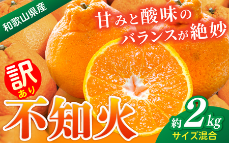 みかん 不知火 約2kg [訳あり・ご家庭用] 森本農園の手選別 和歌山県産 サイズ混合[北海道・沖縄・離島配送不可][1月下旬〜4月末頃順次発送][BV-mrmt085]