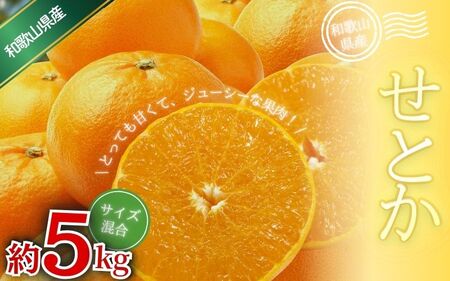 森本農園の手選別 せとか 約5kg 和歌山県産 サイズ混合 【北海道・沖縄・離島配送不可】【1月下旬～4月末頃順次発送】/ せとか 蜜柑 フルーツ 果物 くだもの 食品 人気 おすすめ 送料無料【BV-mrmt090】