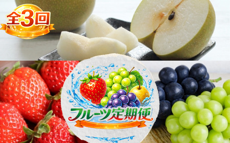[全3回]かつらぎ町産 フルーツ定期便(まりひめ・シャイン&ピオーネ・梨)フルーツ王国よりお届け♪ / いちご ピオーネ ぶどう 種無し たねなし 梨 果物 定期便 セット 和歌山 旬 甘い 先行予約 2026[A-frks905]
