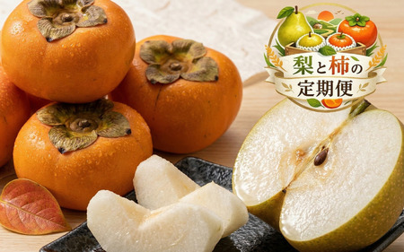 [全2回]かつらぎ町産 フルーツ定期便(梨・柿)フルーツ王国よりお届け♪ / 梨 柿 フルーツ 果物 定期便 セット 和歌山 旬 甘い 先行予約 2026[A-frks906]