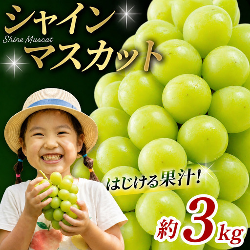 かつらぎ町産　シャインマスカット 約3kg（4房）【2026年8月中旬～9月中旬ごろ順次発送】【AQ-ikd731】 