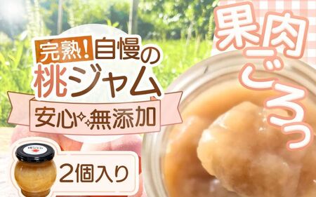 桃ジャム 瓶タイプ 〜果肉ゴロっと贅沢仕上げ〜 2個入り[aozf004]